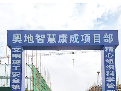 奥地智慧康成
